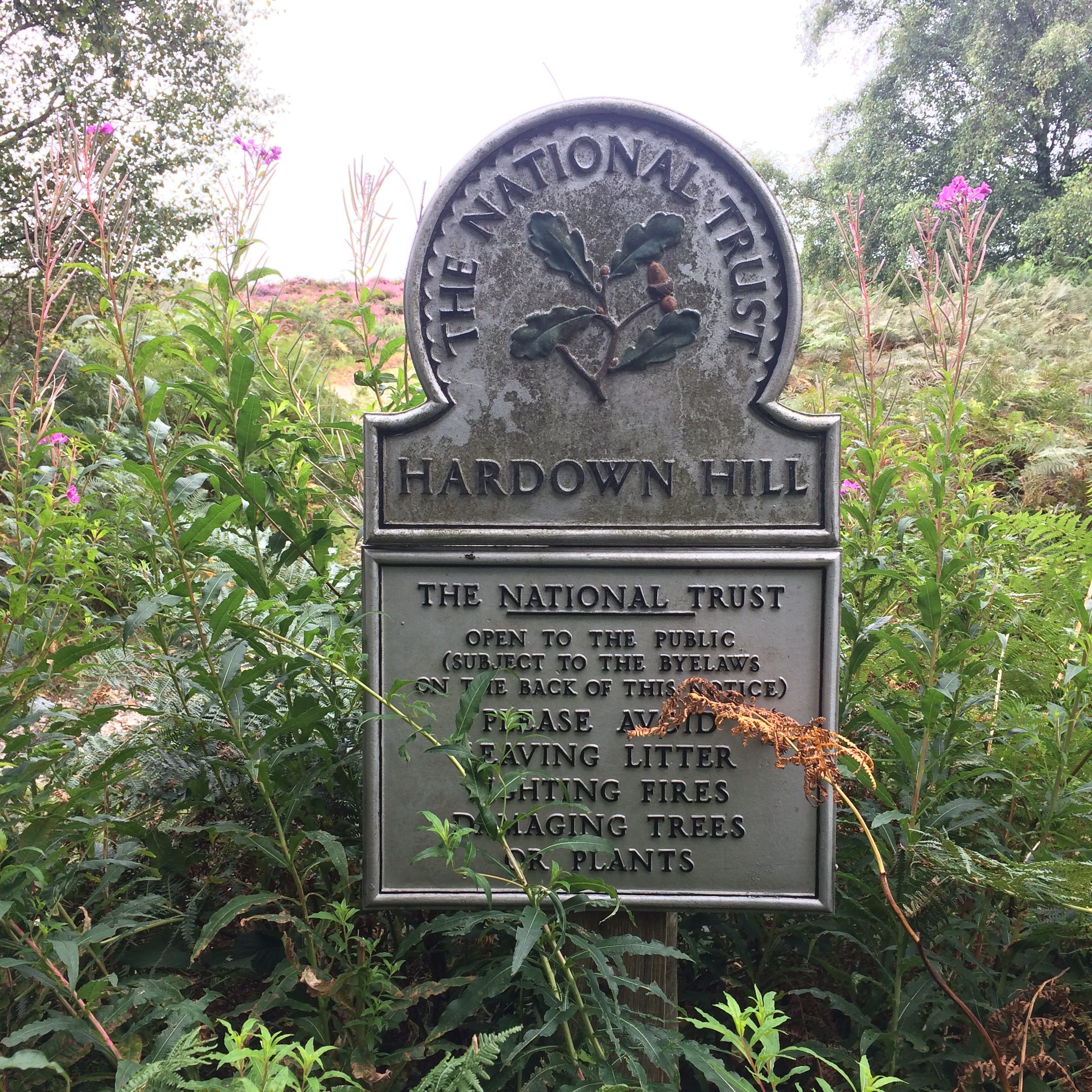 Hardown Hill sign